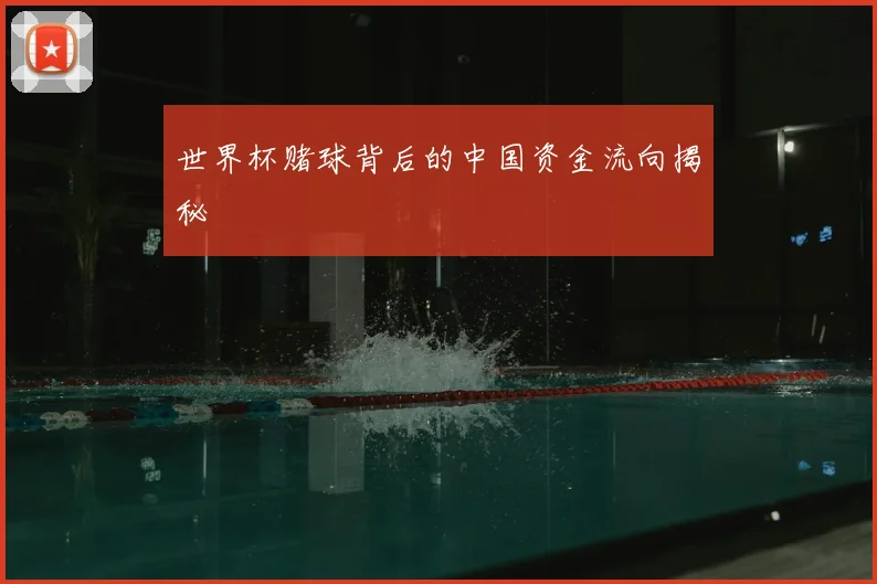世界杯赌球背后的中国资金流向揭秘