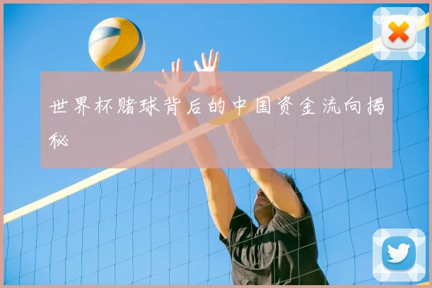 世界杯赌球背后的中国资金流向揭秘