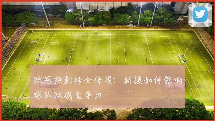 欧冠热刺转会传闻：新援如何影响球队欧战竞争力