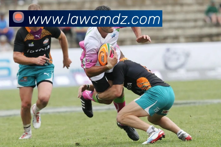 开云手机在线登录官网平台生态图